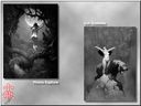 Filename=Xiao-Long_CSA_Various_Artists_43_Frank_Frazetta_06.jpg
Filesize=356KiB
Dimensions=1024x768
Date added=Jul 01, 2018 Xiao-Long_CSA_Various_Artists_43_Frank_Frazetta_06.jpg