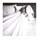 Marilyn_Monroe_28aka_Norma_Jeane_Mortenson29_0066.jpg