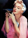 Marilyn_Monroe_28aka_Norma_Jeane_Mortenson29_0108.jpg