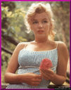 Marilyn_Monroe_28aka_Norma_Jeane_Mortenson29_0251.jpg