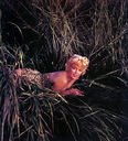 Marilyn_Monroe_28aka_Norma_Jeane_Mortenson29_0254.jpg