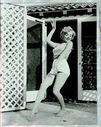 Marilyn_Monroe_28aka_Norma_Jeane_Mortenson29_0302.jpg