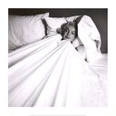Marilyn_Monroe_28aka_Norma_Jeane_Mortenson29_0584.jpg