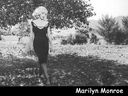 Marilyn_Monroe_28aka_Norma_Jeane_Mortenson29_0598.jpg