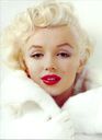 Marilyn_Monroe_28aka_Norma_Jeane_Mortenson29_0667.jpg