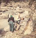Marilyn_Monroe_28aka_Norma_Jeane_Mortenson29_0717.jpg