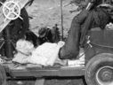 Marilyn_Monroe_28aka_Norma_Jeane_Mortenson29_0718.jpg