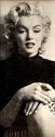 Marilyn_Monroe_28aka_Norma_Jeane_Mortenson29_0811.jpg