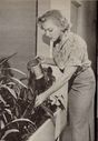 Marilyn_Monroe_28aka_Norma_Jeane_Mortenson29_1087.jpg