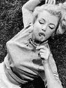Filename=Marilyn_Monroe_28aka_Norma_Jeane_Mortenson29_1251.jpg
Filesize=20KiB
Dimensions=246x325
Date added=Jul 01, 2018 Marilyn_Monroe_28aka_Norma_Jeane_Mortenson29_1251.jpg