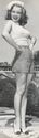 Filename=Marilyn_Monroe_28aka_Norma_Jeane_Mortenson29_1333.jpg
Filesize=248KiB
Dimensions=416x1448
Date added=Jul 01, 2018 Marilyn_Monroe_28aka_Norma_Jeane_Mortenson29_1333.jpg